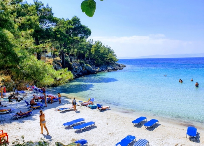 Insula Skopelos poza Insula Skopelos poza