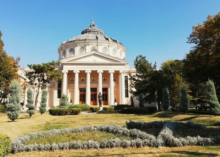  Muntenia Bucuresti poza