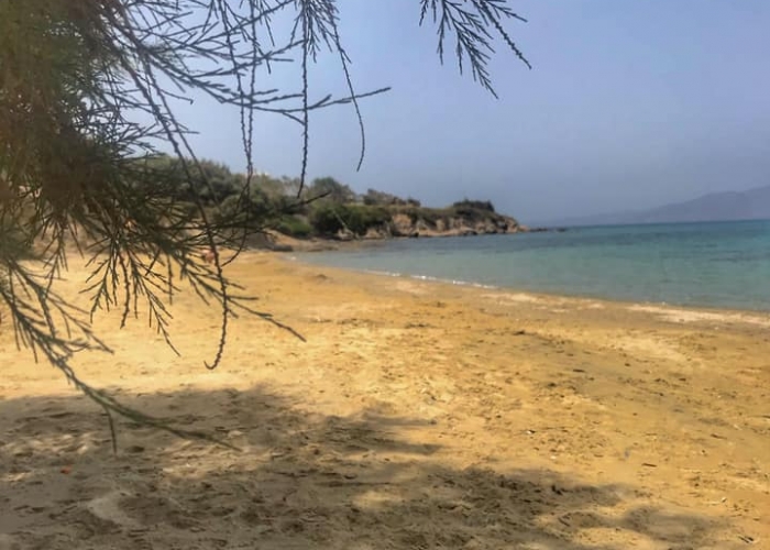 Insula Naxos poza Insula Naxos poza