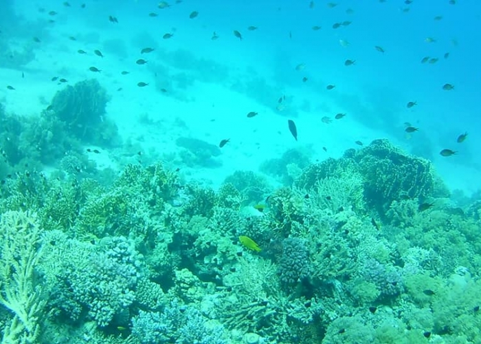Sharm El Sheikh Sharm poza Sharm El Sheikh Sharm poza