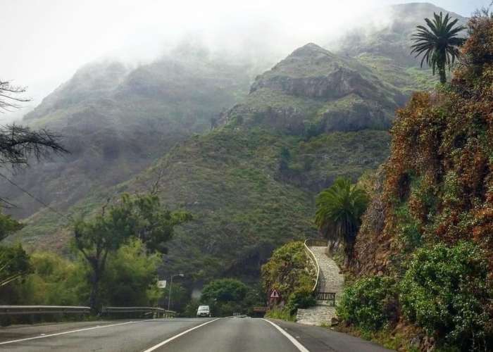  Insula Tenerife Costa Adeje poza