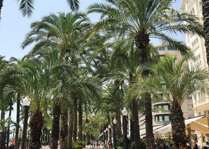 Costa Blanca Alicante poza Costa Blanca Alicante poza