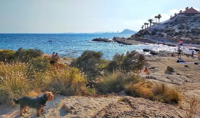 Costa Blanca Alicante poza Costa Blanca Alicante poza
