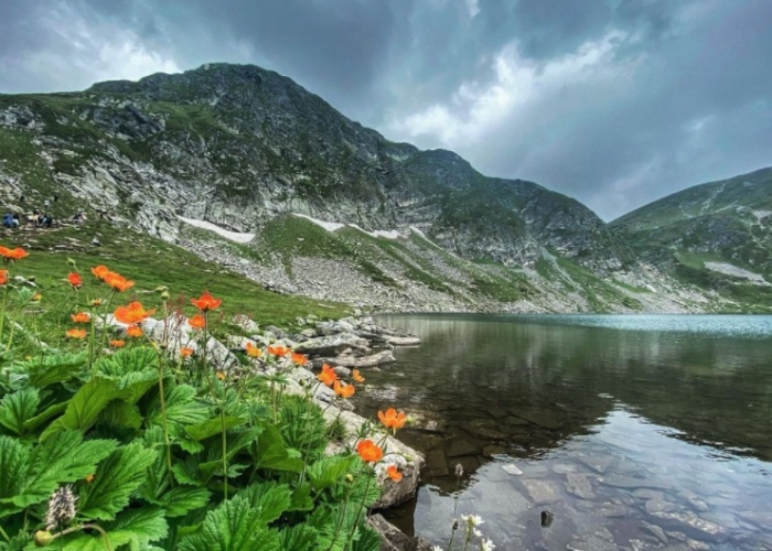 Sofia Borovets poza Sofia Borovets poza