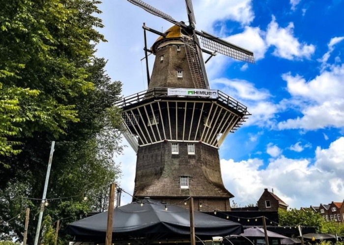 North Holland Amsterdam poza North Holland Amsterdam poza