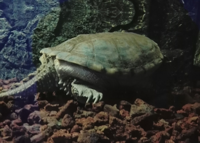 poza Protaras - o stațiune perfectă pentru vacanțe în familie