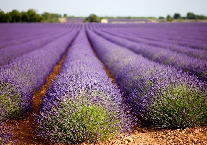Sejur Franța, o țară încărcată de atracții turistice poza Sejur Franța, o țară încărcată de atracții turistice