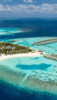 Maldive