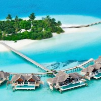 Maldive