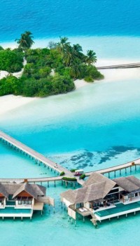 Maldive