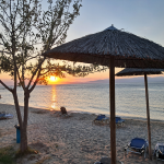 poza <p><i class='fa fa-plus-circle text-success'></i>&nbsp;Apus pe malul marii, plaja cu nisip</p><p><i class='fa fa-minus-circle text-danger'></i>&nbsp;Nu am</p>