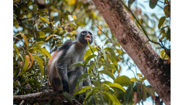 Hotel Filao Beach By Sansi poza 24