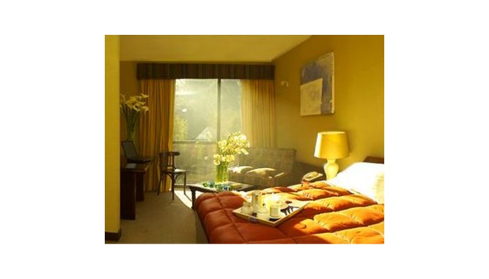 Hotel Conference Town poza 0