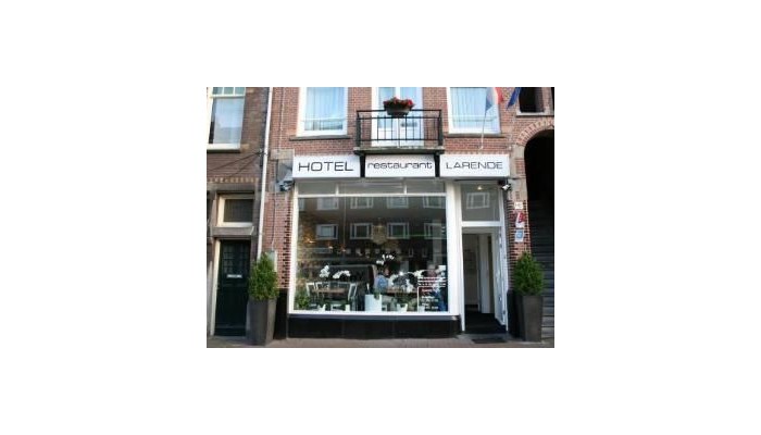 Restaurant Larende Hotel poza 8