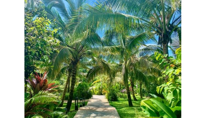 Hotel Zuri Zanzibar (Kendwa) poza 40