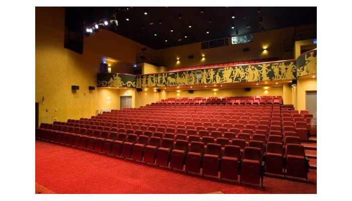 Hotel Theater Figi poza 7